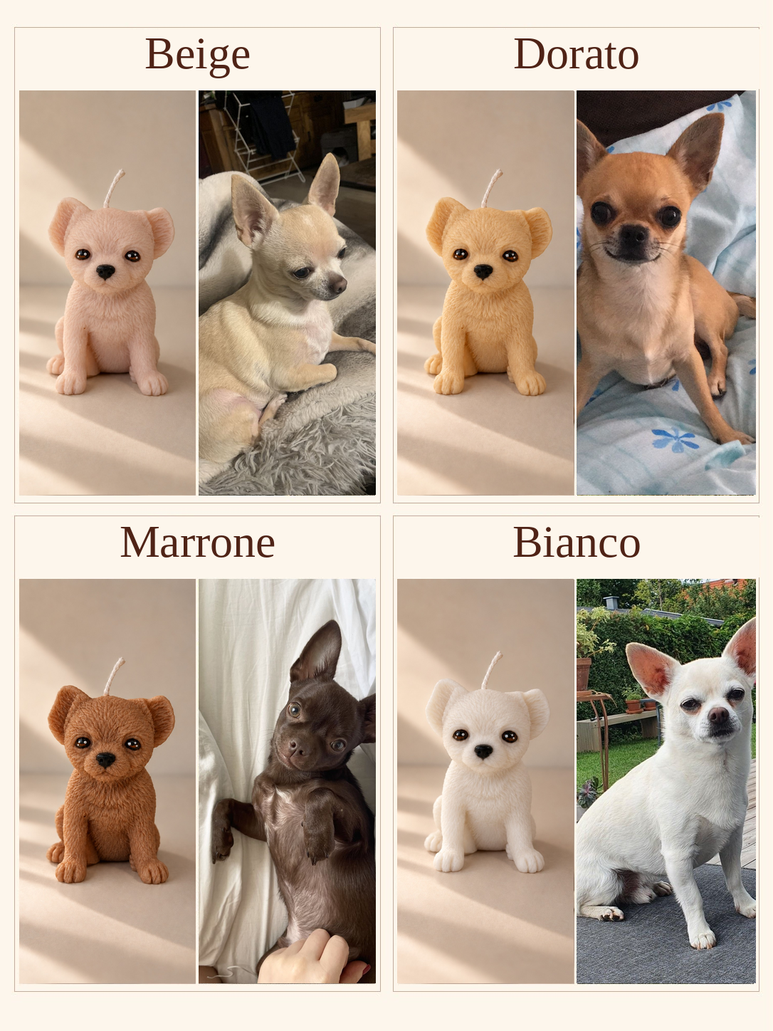 Esempi: Chihuahua | S da ogni lato