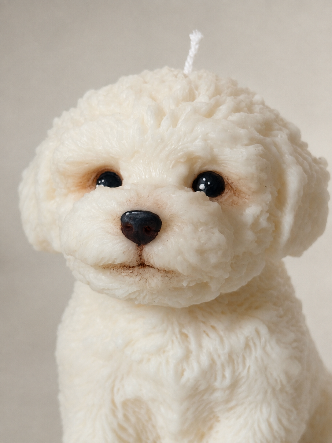 Maltese