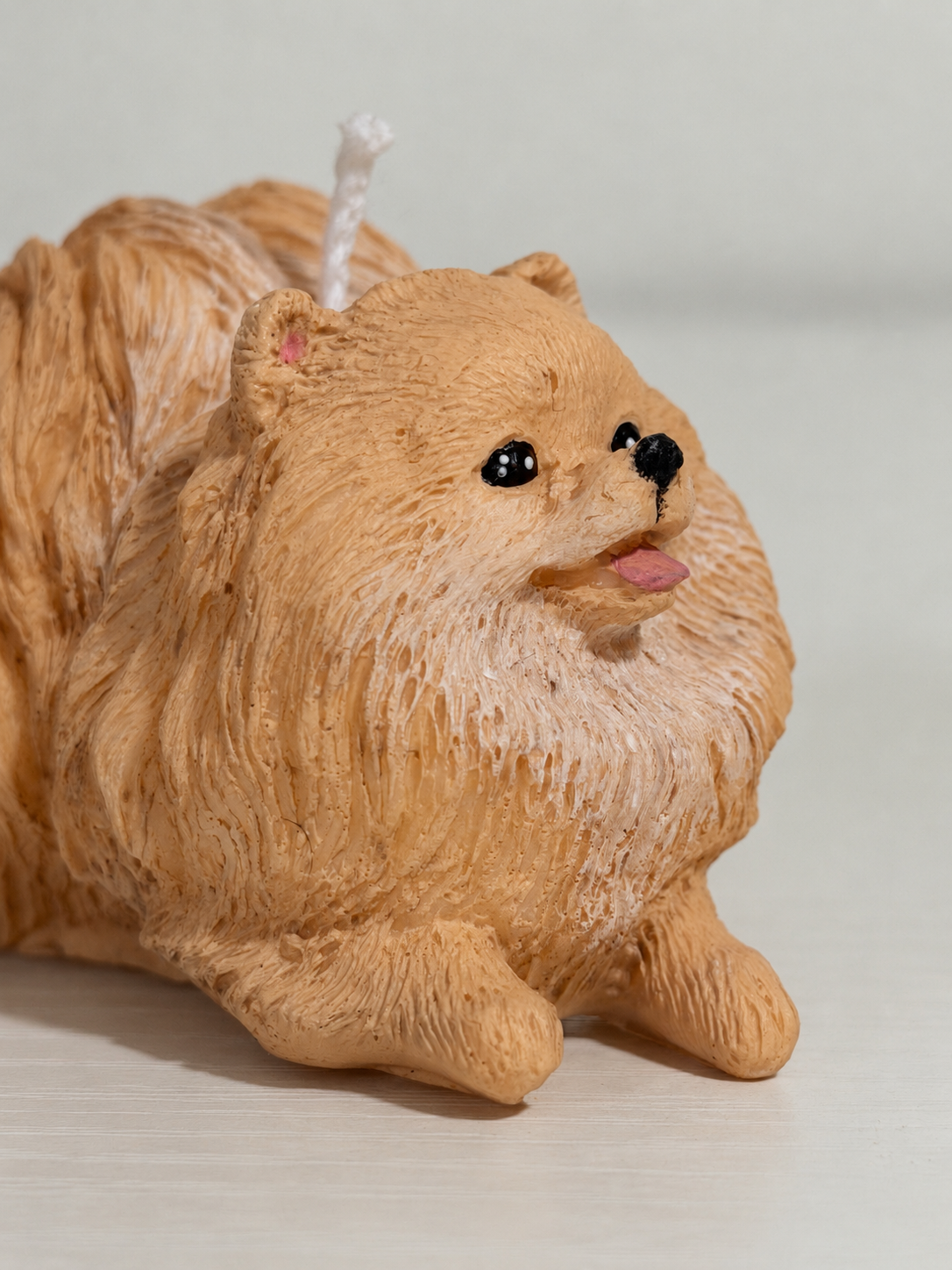 Volpino di Pomerania S