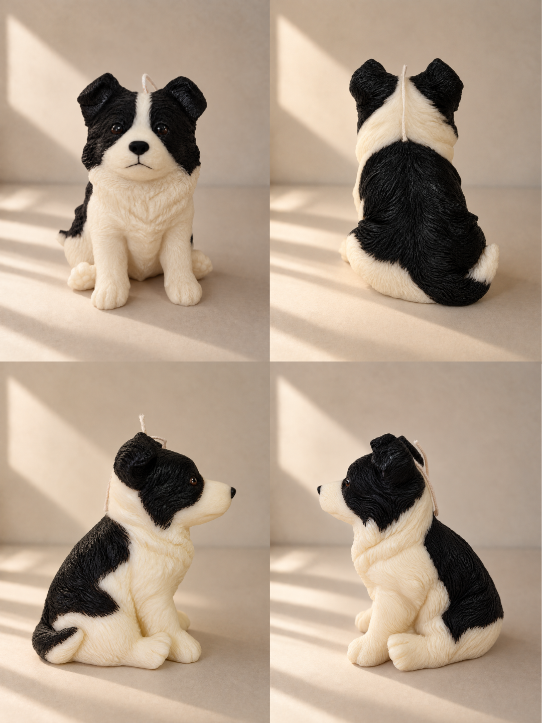 Border Collie | XL