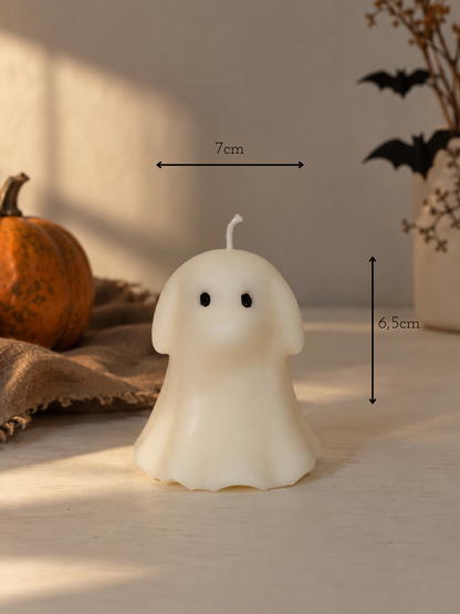 Cane fantasma