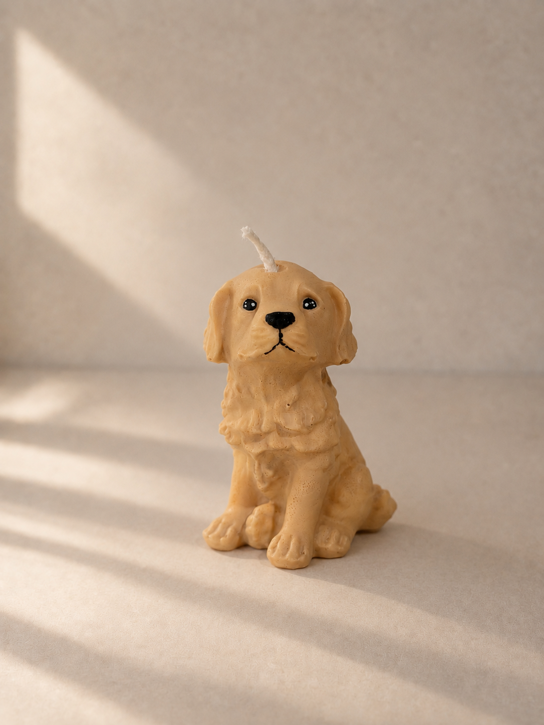 Golden Retriever S