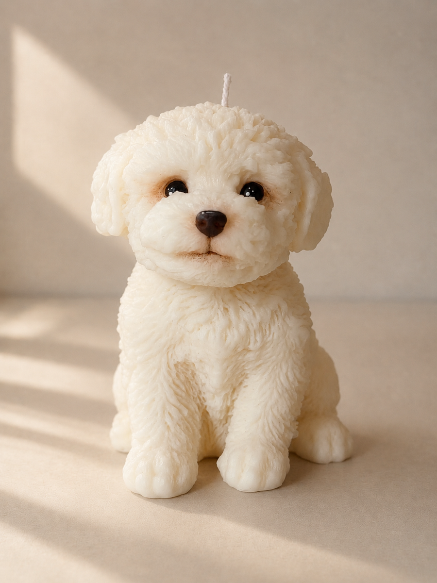 Maltese