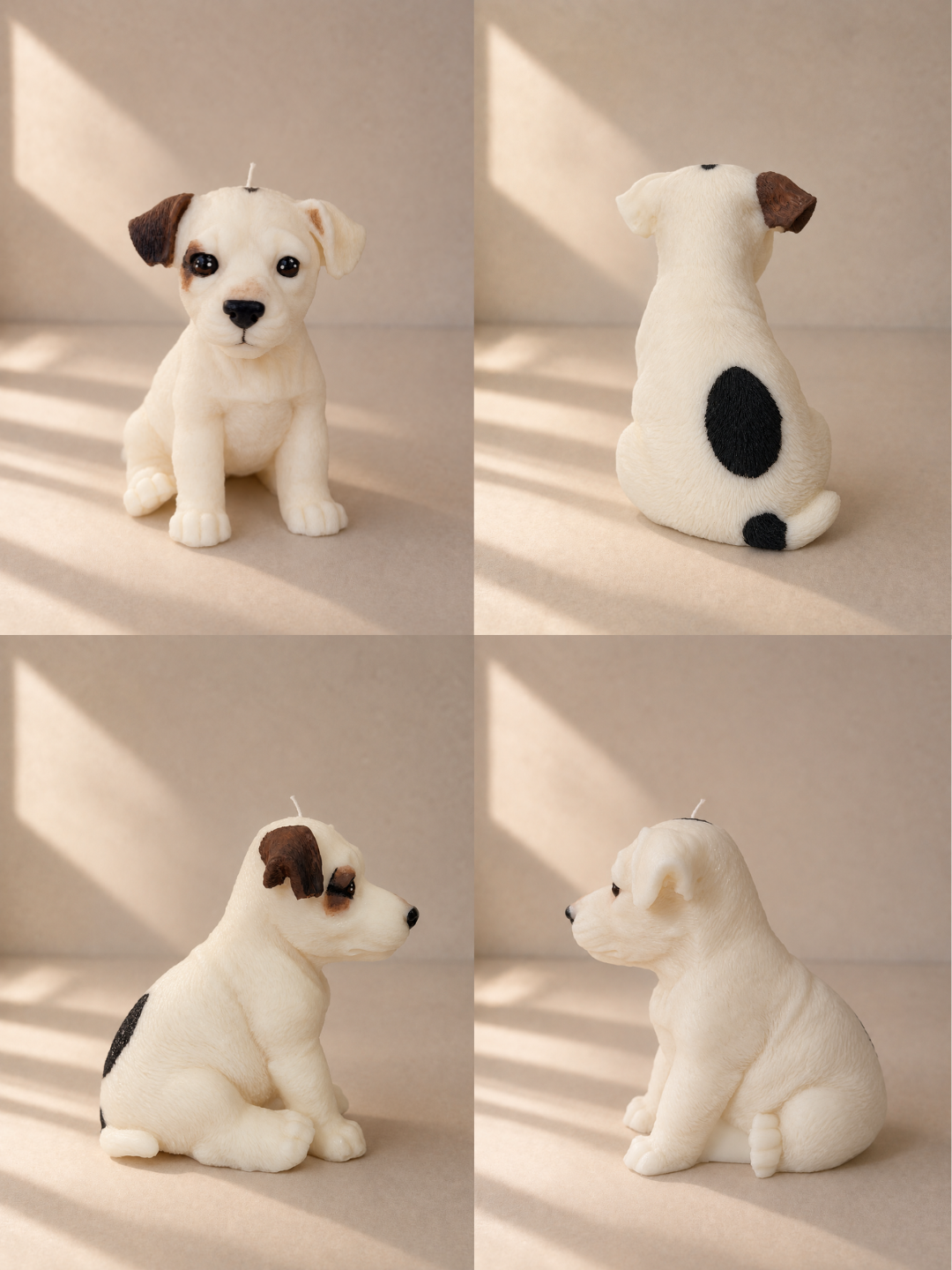 Jack Russell | XL