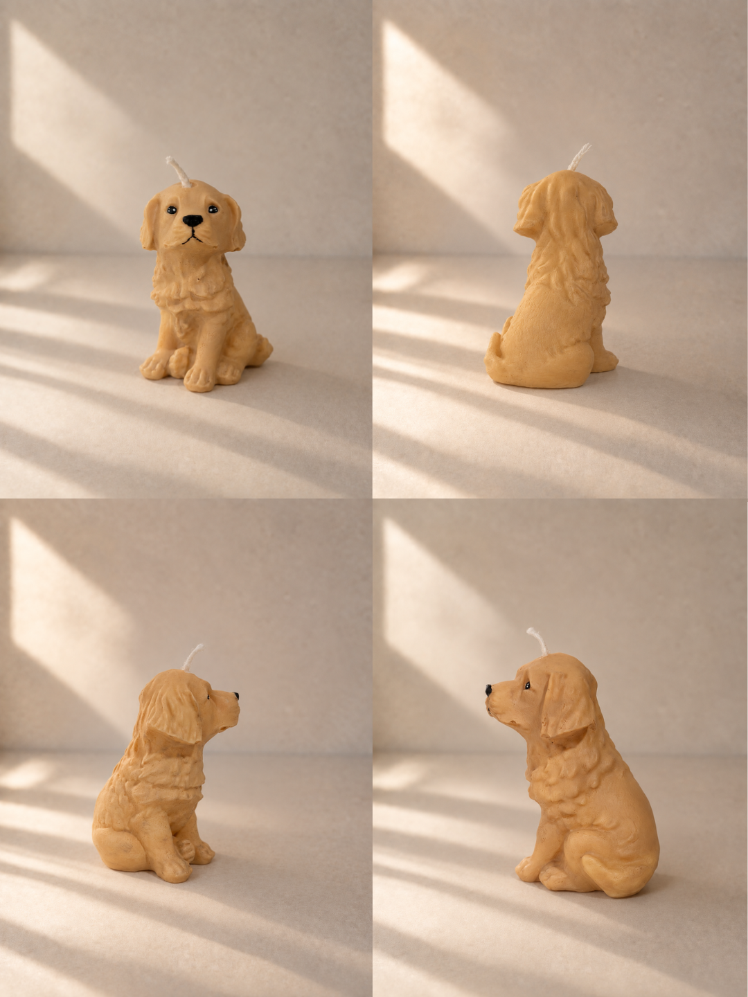 Golden Retriever S