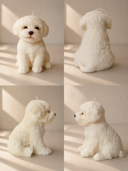 Maltese