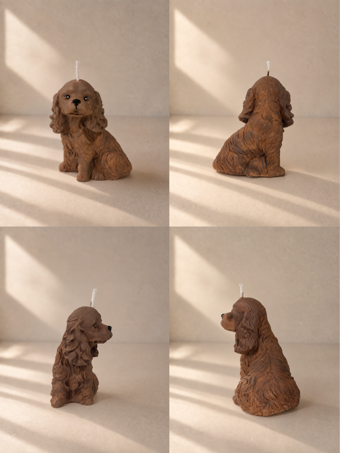Cocker Spaniel S