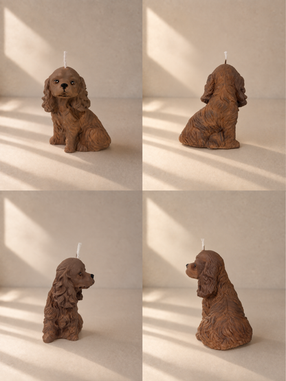 Cocker Spaniel S