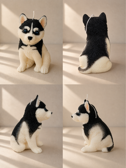 Husky