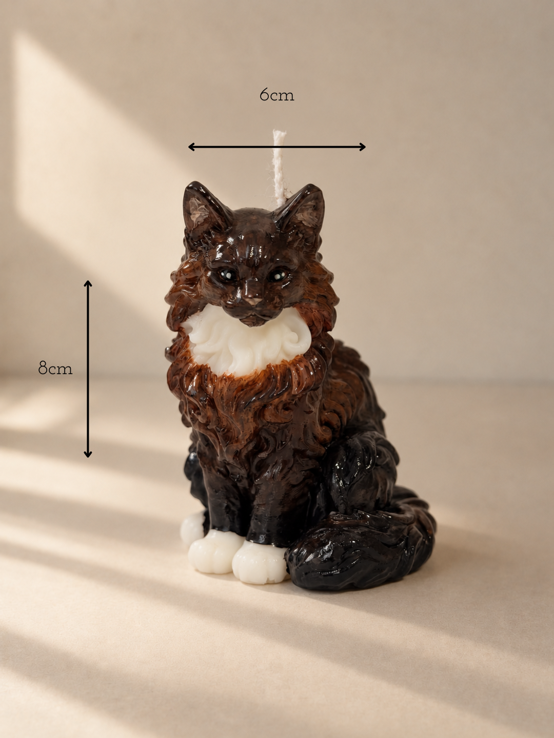 Misure di Maine Coon | S