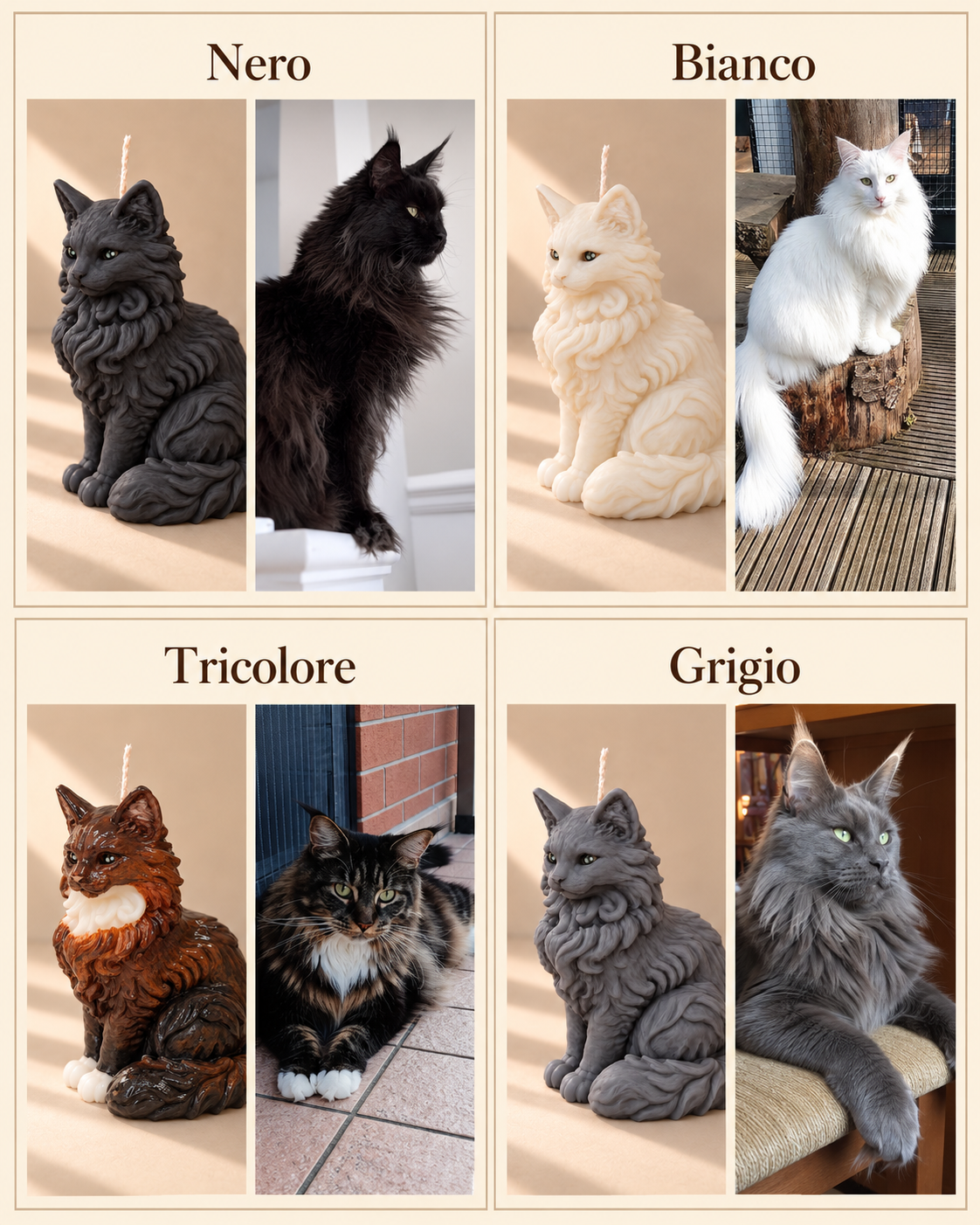 Esempi: Maine Coon | S da ogni lato