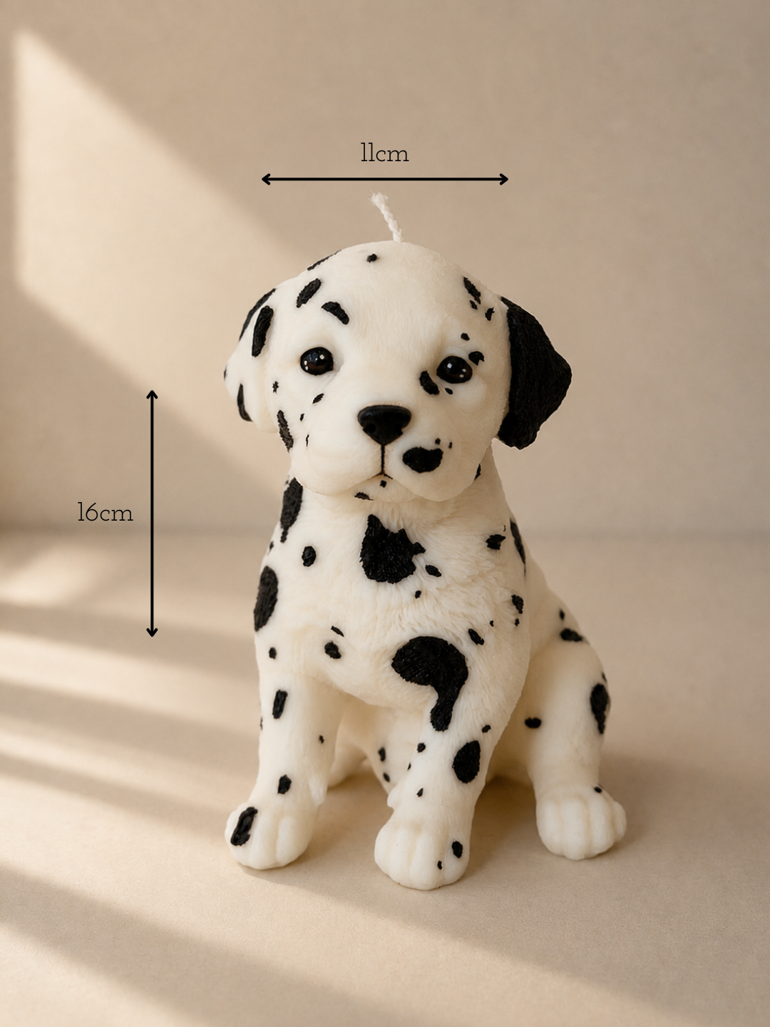 Dalmata