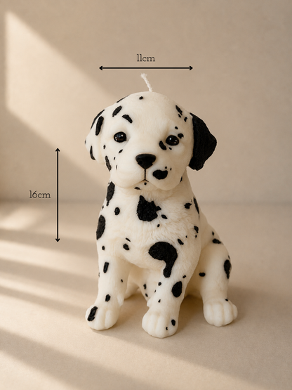 Dalmata