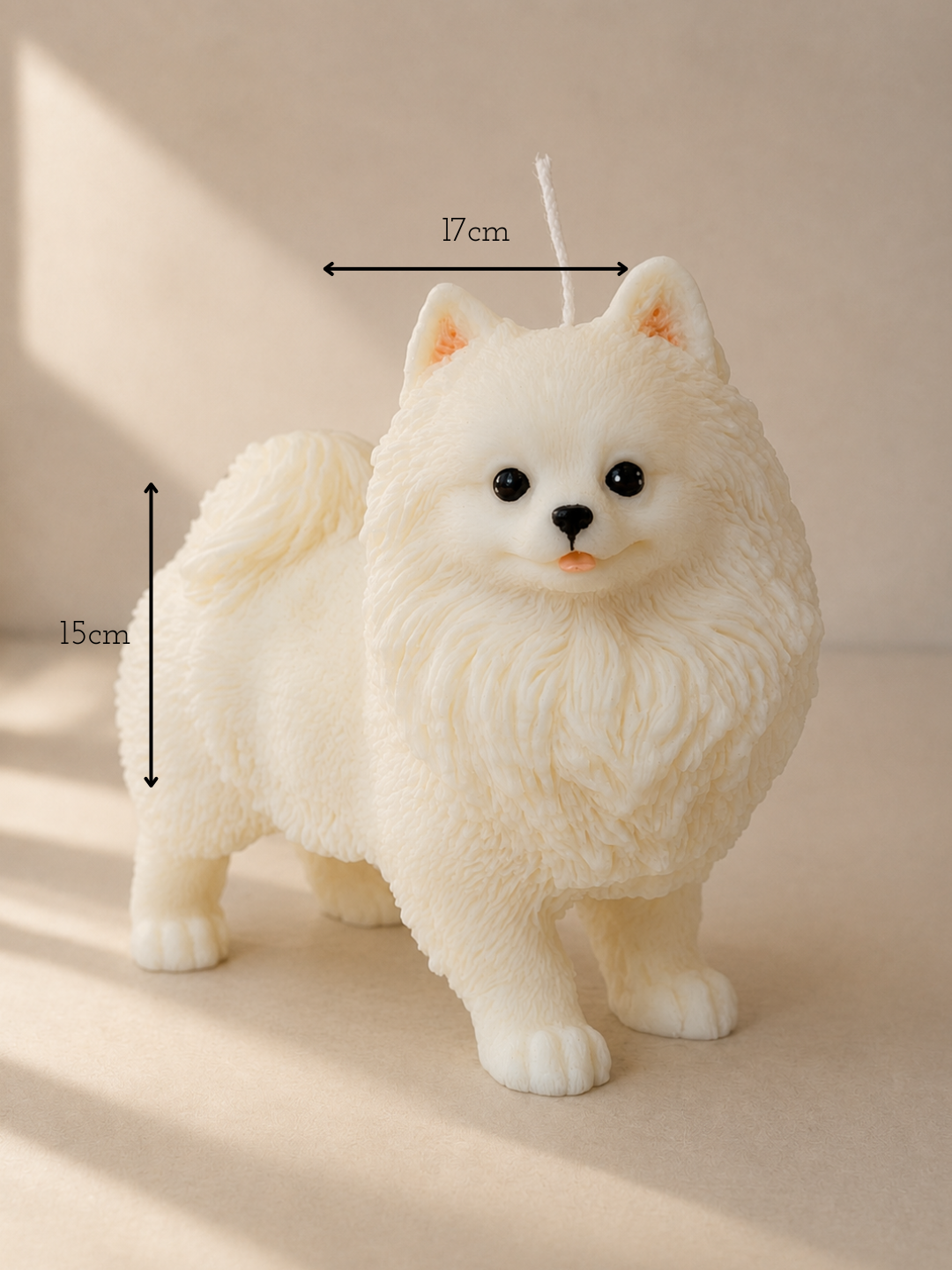 Volpino di Pomerania