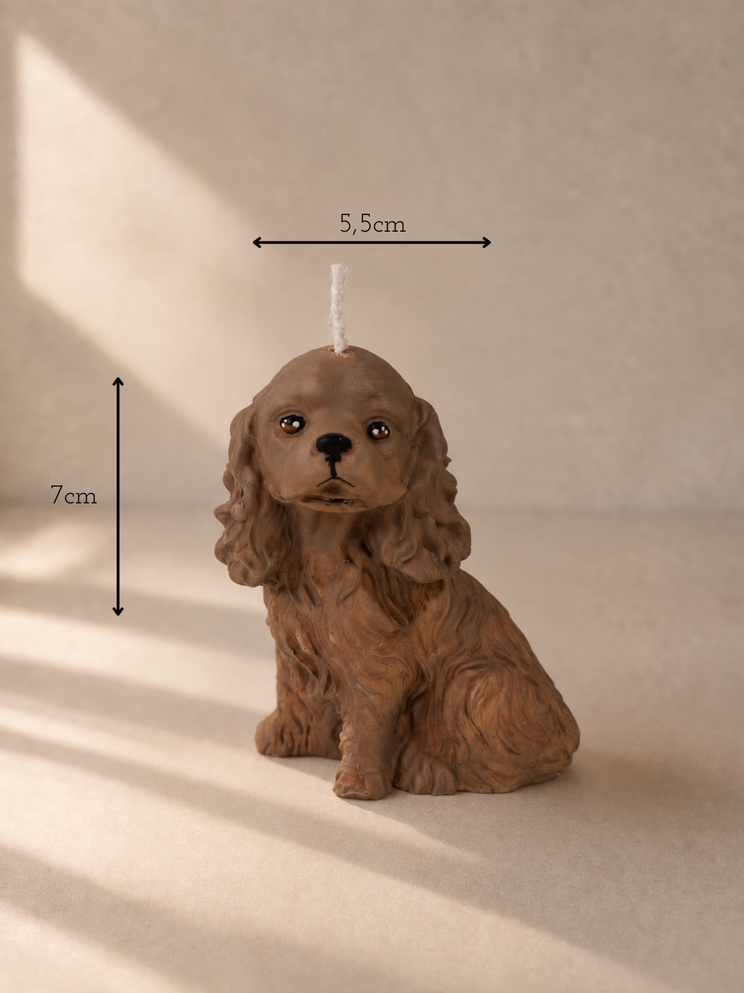Cocker Spaniel S