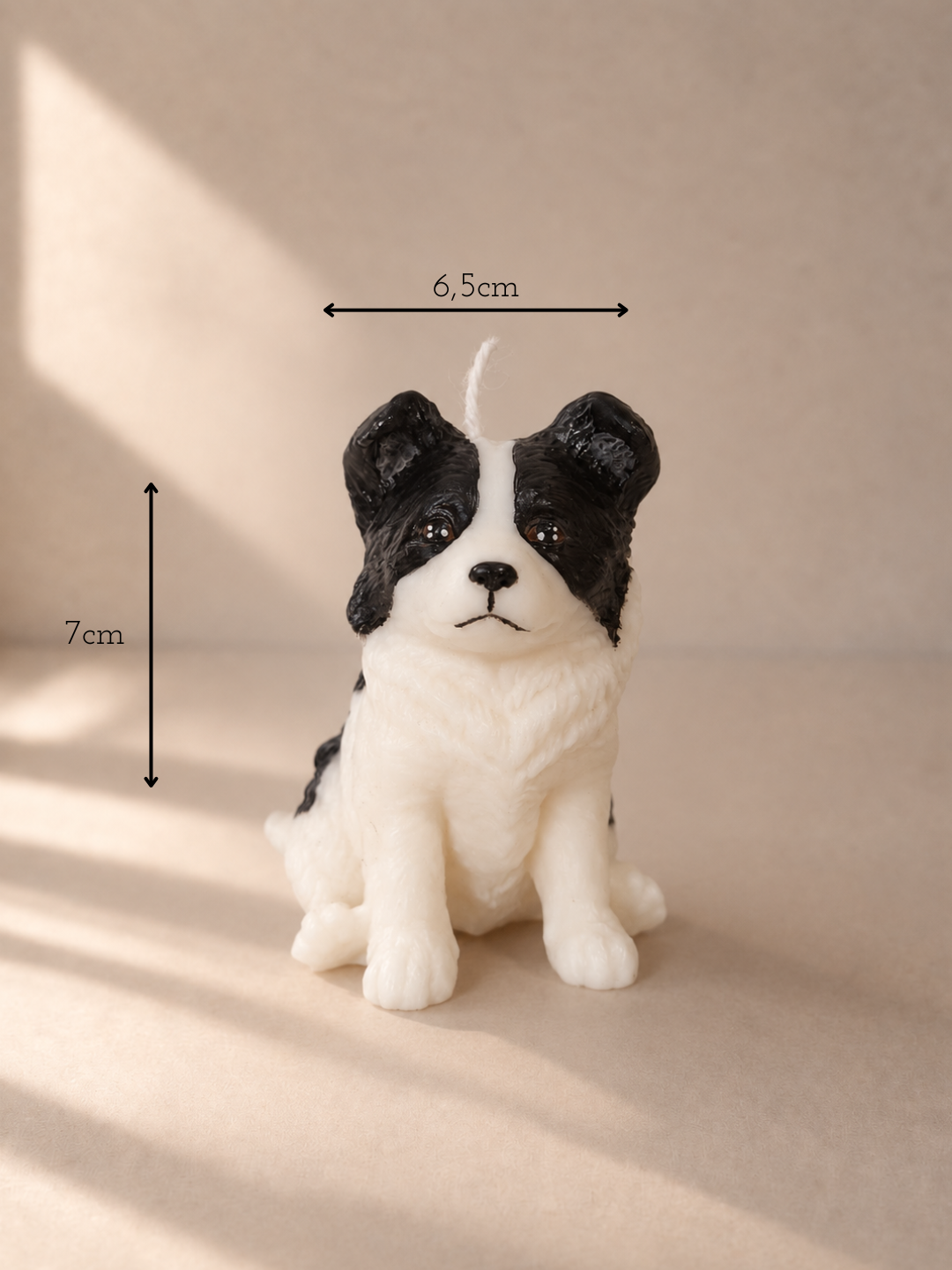 Border Collie S