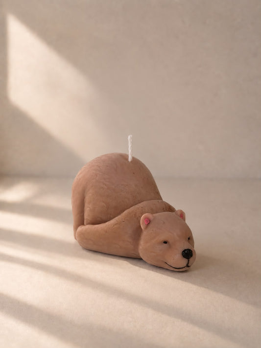 Orso bruno
